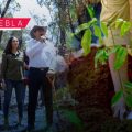Gobierno de Puebla invertirá 14 mdp en el Programa Anual de Reforestación