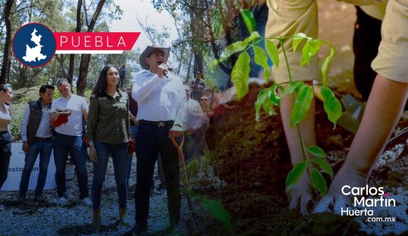 Gobierno de Puebla invertirá 14 mdp en el Programa Anual de Reforestación