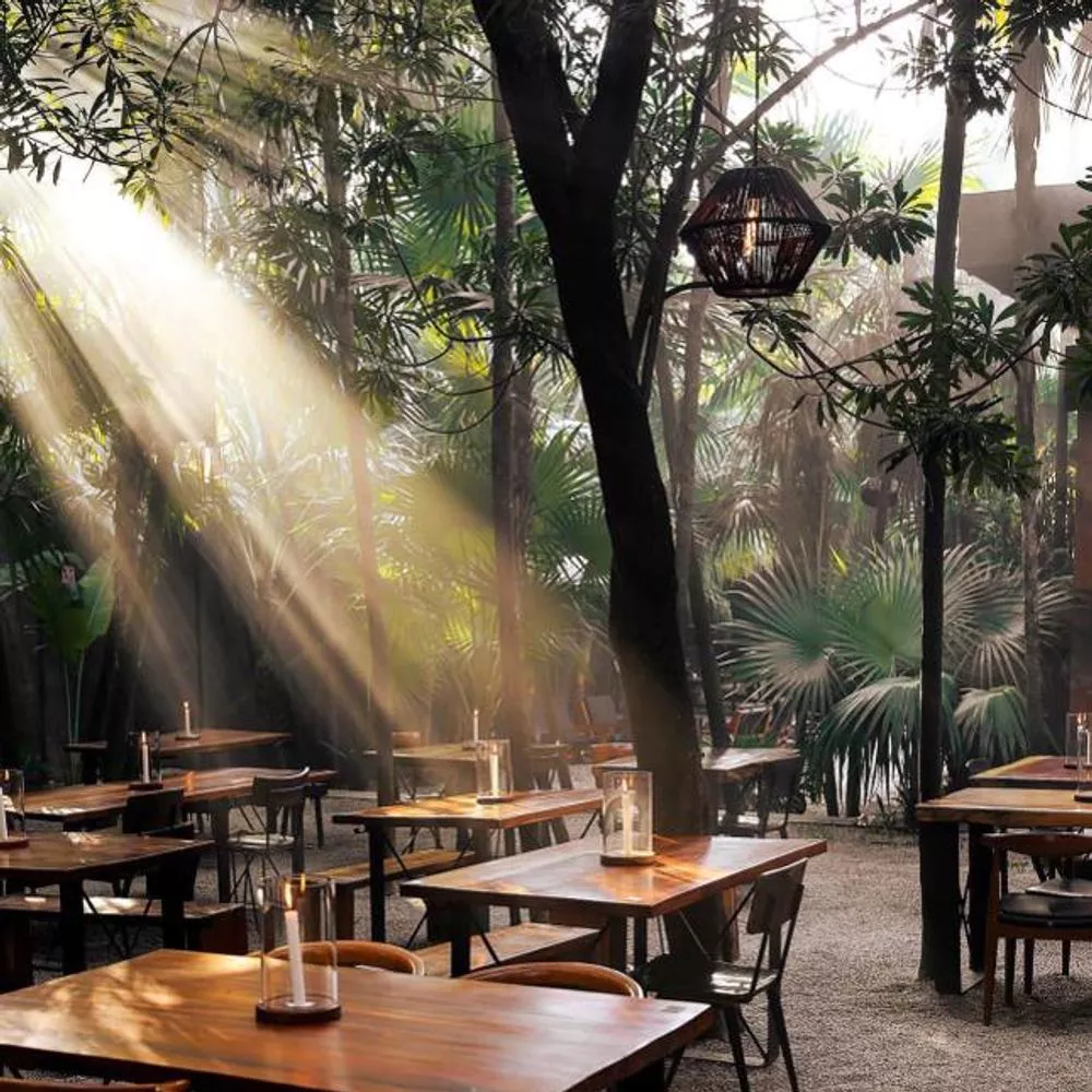 Restaurantes mexicanos con Estrellas Michelin 2025 2 Guia Michelin.jpeg