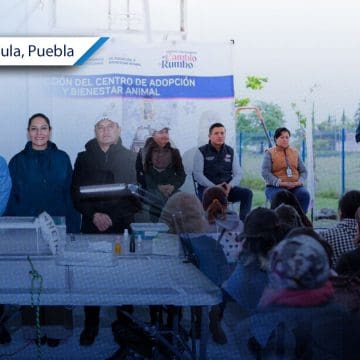 Lupita Cuautle impulsa jornada masiva de esterilización en San Antonio Cacalotepec