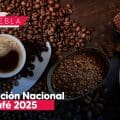 Puebla, sede de la Convención Nacional de Café 2025