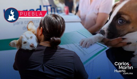 RUAC 2025: Fecha límite para tramitar la CURP de tu mascota