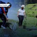 San Andrés Cholula impulsa la reforestación y educación ambiental con jornada