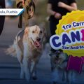 Se acerca la 1ra Carrera Canina 2025 de San Andrés Cholula