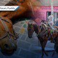 Se prohíbe el uso de caballos para recolectar basura en Texmelucan