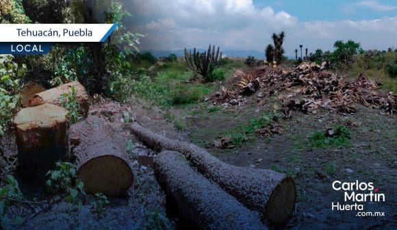 Sentencian a dos hombres por daño ambiental en la Reserva de la Biósfera Tehuacán-Cuicatlán