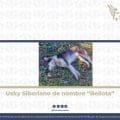 Fiscalía de Puebla logra vinculación a proceso contra hombre acusado de crueldad animal en Zacapoaxtla