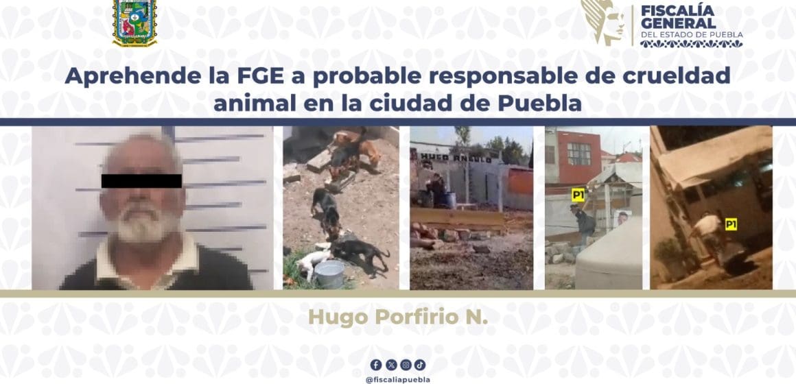 Aprehende la FGE a probable responsable de crueldad animal en la ciudad de Puebla