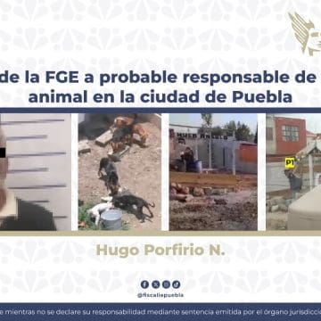 Aprehende la FGE a probable responsable de crueldad animal en la ciudad de Puebla