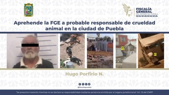 Aprehende la FGE a probable responsable de crueldad animal en la ciudad de Puebla