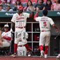 Los Diablos vencieron a los Pericos y completaron la barrida en el Alfredo Harp