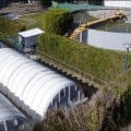 Agua de Puebla aclara: Espuma en el Río Alseseca no proviene de nuestras plantas de tratamiento