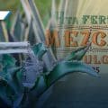 ¡No te pierdas la Feria del Mezcal y Pulque en Atlixco! Aquí las fechas