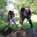 Encabeza Omar Muñoz jornada de reforestación en San Lorenzo Almecatla
