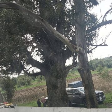 Localizan cadáver embolsado en terrenos de cultivo en Huejotzingo