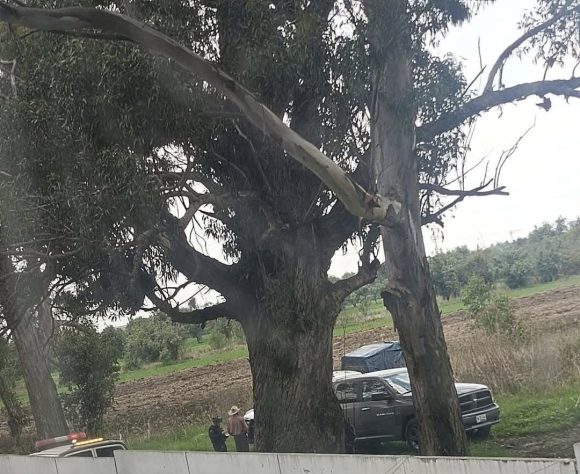Localizan cadáver embolsado en terrenos de cultivo en Huejotzingo