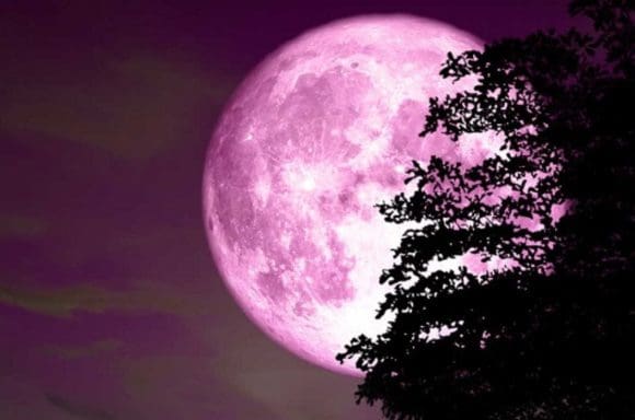 La “Luna de Fresa” de junio: Belleza astronómica y antiguas tradiciones