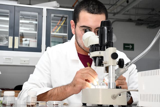 A IngenieriasCU2