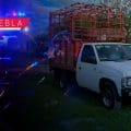 Asalto a mano armada en Guadalupe Victoria; roban camioneta con ganado ovino