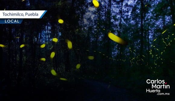 Avistamiento de luciérnagas en Tochimilco: Un espectáculo natural que no te puedes perder