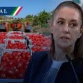 Sheinbaum rechaza arancel al jitomate; “se va a seguir exportado”