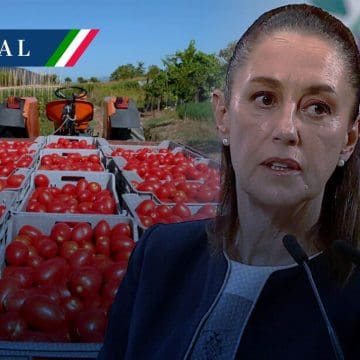 Sheinbaum rechaza arancel al jitomate; “se va a seguir exportado”
