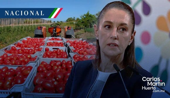 Sheinbaum rechaza arancel al jitomate; “se va a seguir exportado”