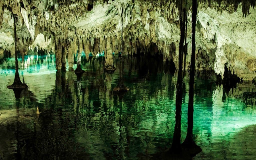 Descubren fosiles marinos en los cenotes de la Peninsula de Yucatan 3