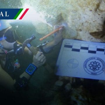 Descubren 22 fósiles marinos en los cenotes de la Península de Yucatán