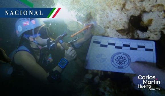 Descubren 22 fósiles marinos en los cenotes de la Península de Yucatán