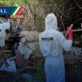 Desmantelan narcolaboratorio en Sinaloa con afectación económica de 81 mdp