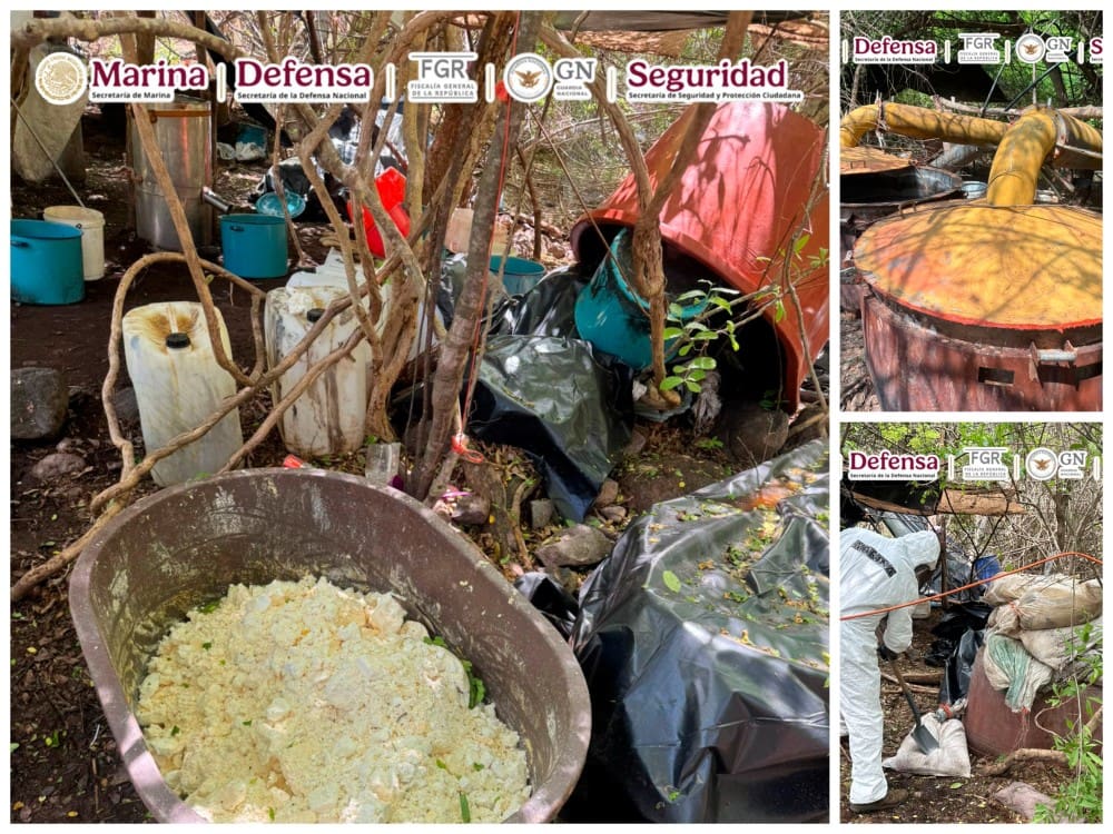 Desmantelan narcolaboratorio en Sinaloa con afectacion economica de 81 mdp 3