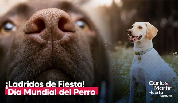 ¡Guau! Celebra el Día Mundial del Perro