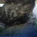 Encuentran posibles pinturas rupestres de 10 mil años de antigüedad en Coapan, Tehuacán