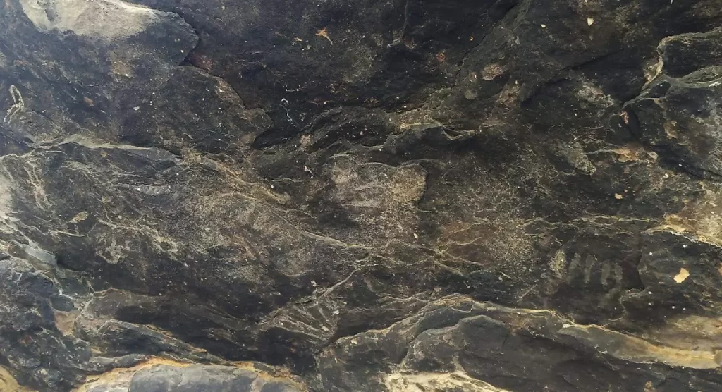 Encuentran posibles pinturas rupestres de 10 mil años de antigüedad en Coapan, Tehuacán 1 Encuentran posibles pinturas rupestres de 10 mil años de antigüedad en Coapan, Tehuacán