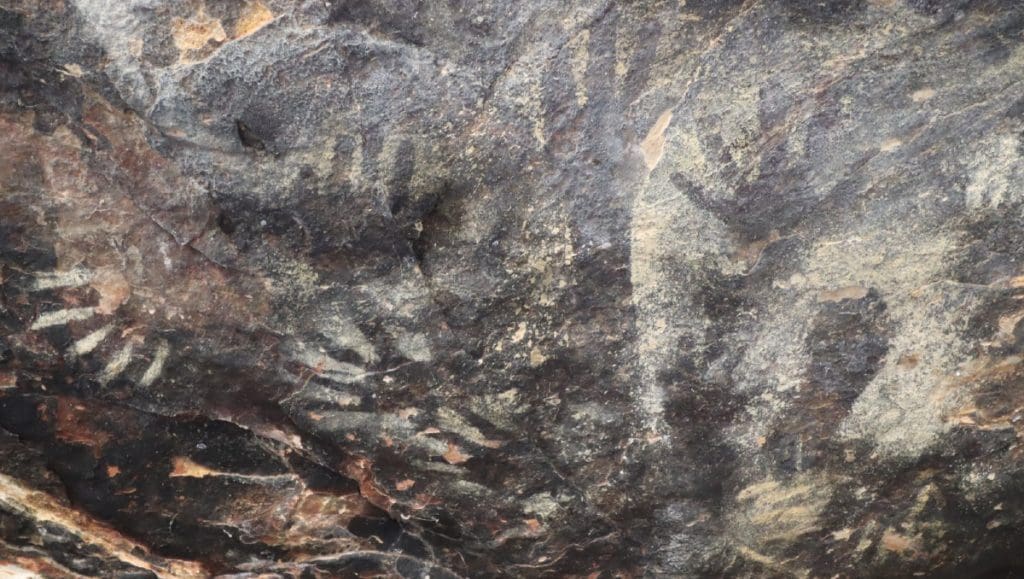 Encuentran posibles pinturas rupestres de 10 mil anos de antiguedad en Coapan Tehuacan 3