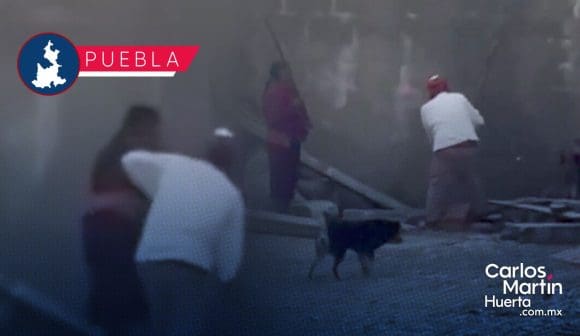 FGE inicia investigación contra pareja que golpeo brutalmente a un lomito en Zacatlán