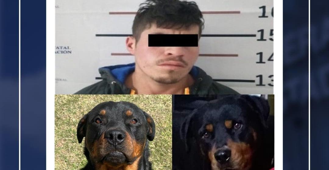 Vinculan a proceso a Rafael N., por crueldad animal tras envenenar a dos perros
