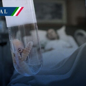 Fallece mujer con miasis por gusano barrenador en Campeche