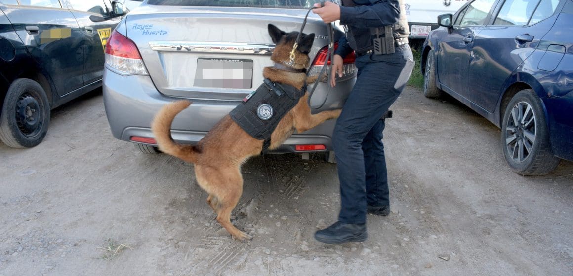 SSC Puebla refuerza la seguridad con 5,764 operativos y 98 arrestos