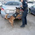 SSC Puebla refuerza la seguridad con 5,764 operativos y 98 arrestos