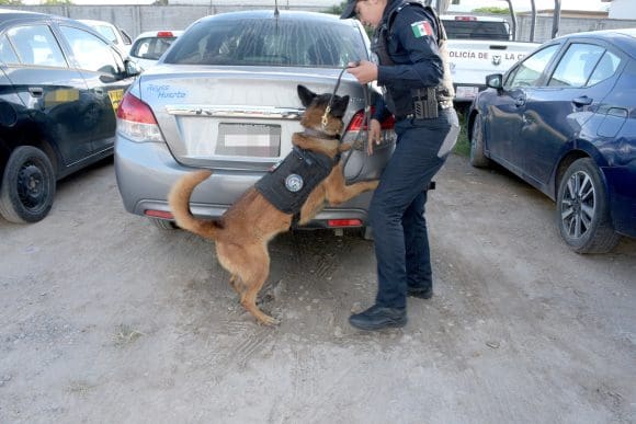 GxEQywDWwAAKDZH SSC Puebla refuerza la seguridad con 5,764 operativos y 98 arrestos