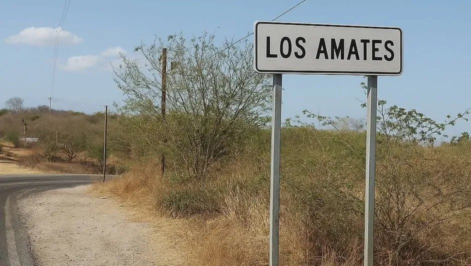 Hallan restos humanos sobre la carretera Izúcar-Tehuitzingo; la Fiscalía investiga 1 Hallan restos humanos sobre la carretera Izúcar-Tehuitzingo; la Fiscalía investiga