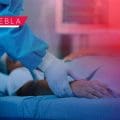 Mujer se arroja a barranca para evitar ser detenida en Bosques de San Sebastián y muere en hospital