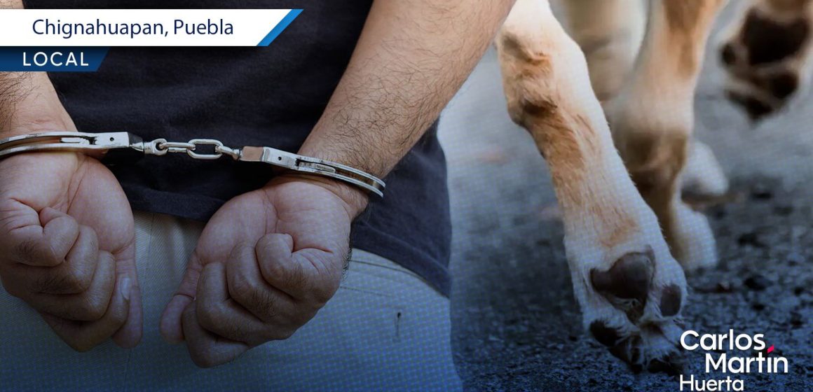 Joven es vinculado a proceso por presunto envenenamiento de perros en Chignahuapan