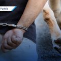 Joven es vinculado a proceso por presunto envenenamiento de perros en Chignahuapan