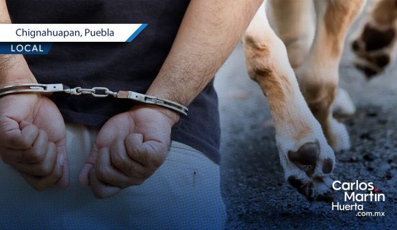 Joven es vinculado a proceso por presunto envenenamiento de perros en Chignahuapan