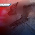 Nuevo caso de maltrato animal en Miahuatlán; perrita es atacada y mutilada a machetazos