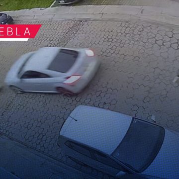 Conductor atropella a perrito y amenaza a vecinos en Olivia Residencial