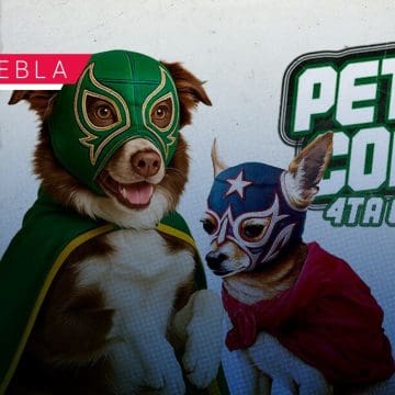 Mascotas al ring: Pericos convoca a lucha de disfraces en el Hermanos Serdán